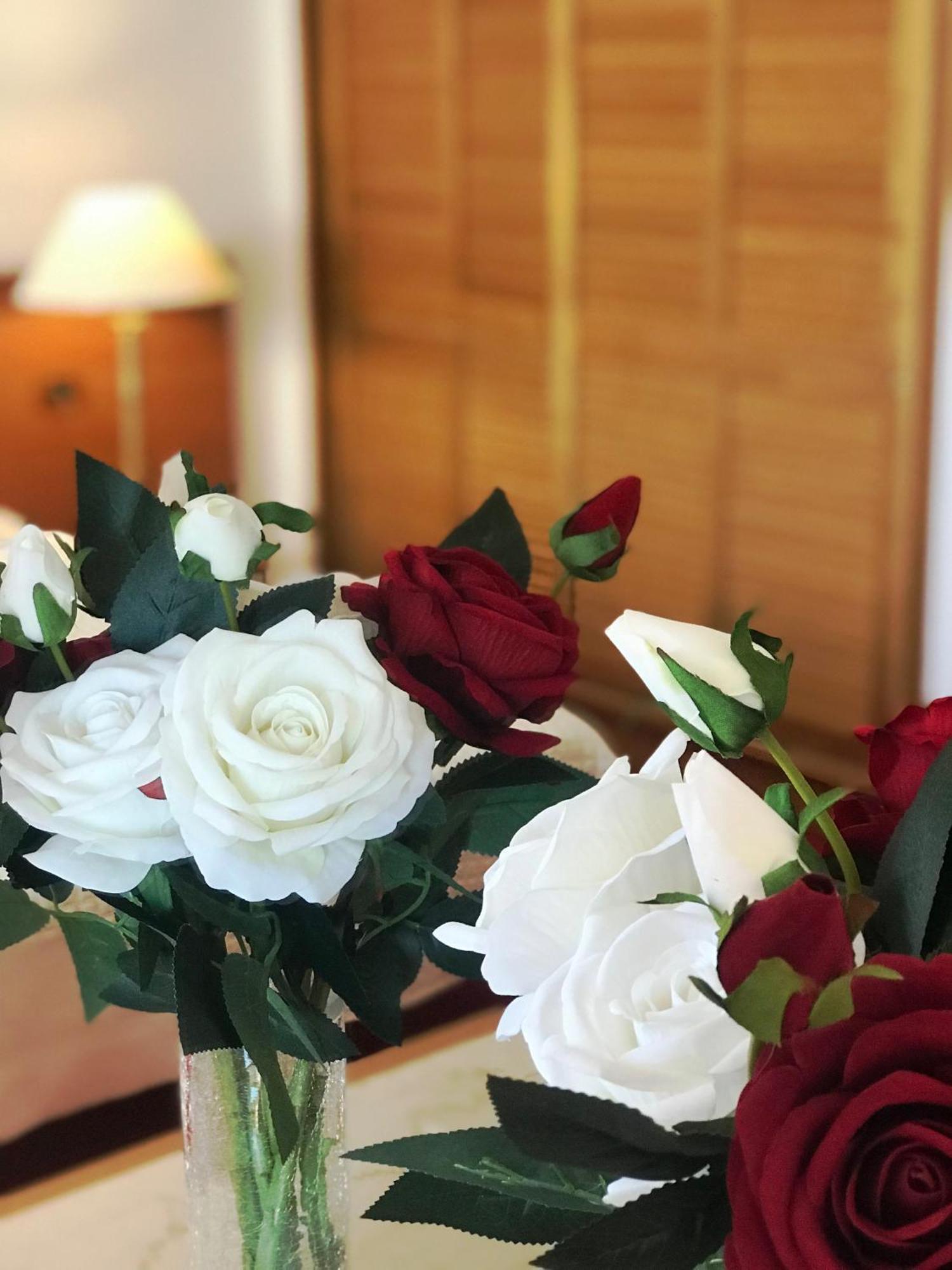 Chateau Linza Resort Tiranë Eksteriør bilde