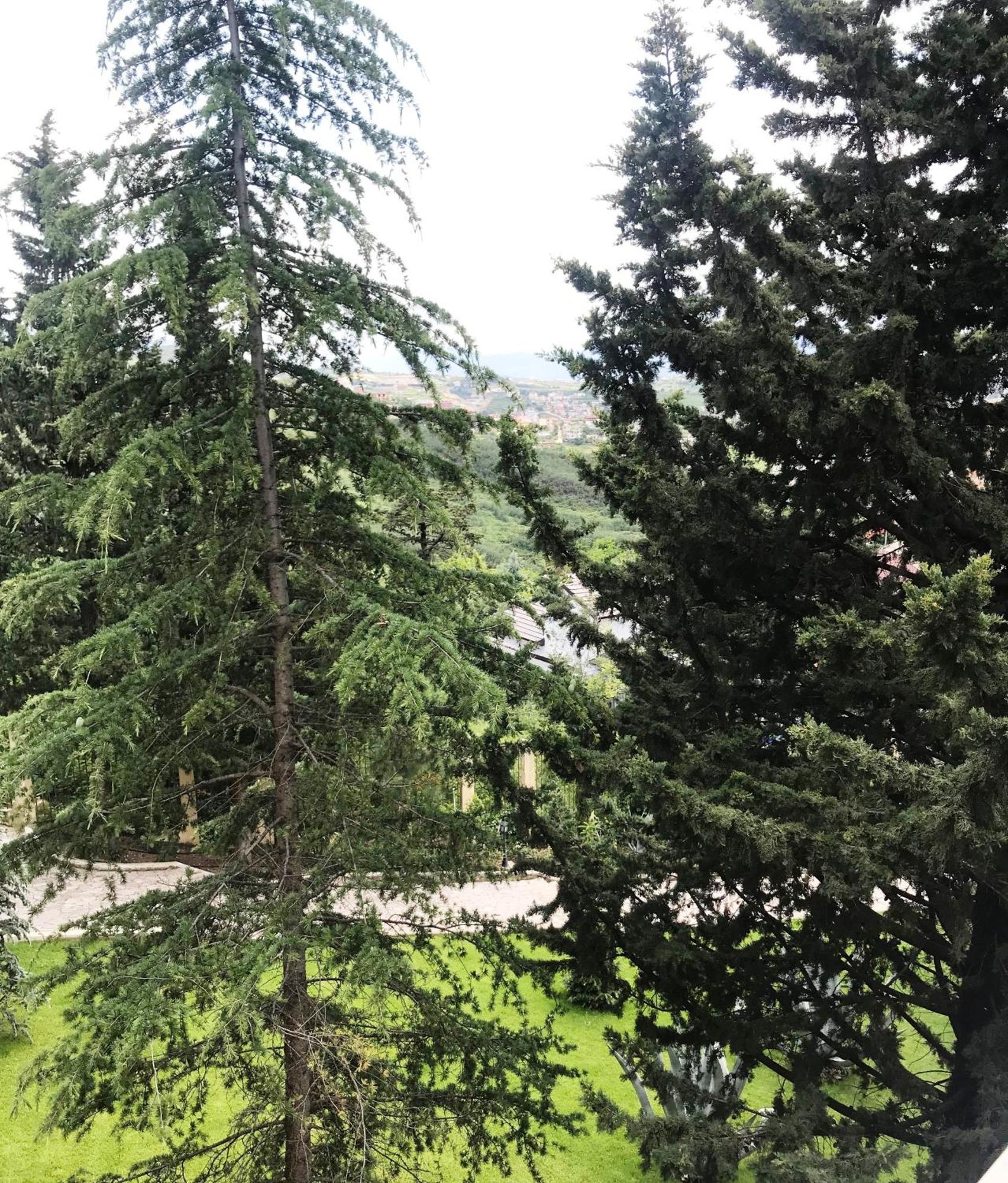 Chateau Linza Resort Tiranë Eksteriør bilde